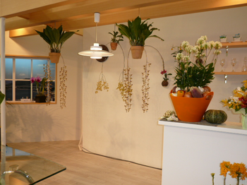 シンプルな部屋に植物がたくさんあっておしゃれなインテリアを演出している部屋.png